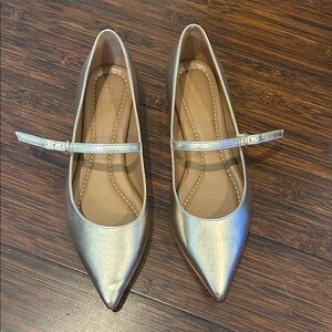 Elegant Silver Pointed Flats